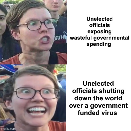 Priorities | Unelected officials exposing wasteful governmental spending; Unelected officials shutting down the world over a government funded virus | image tagged in memes,drake hotline bling,politics lol | made w/ Imgflip meme maker