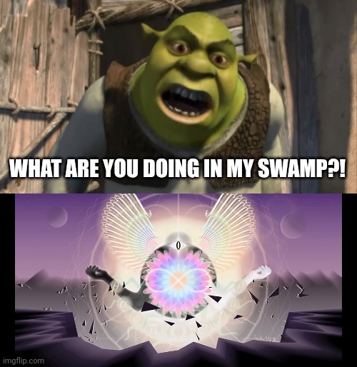 Math meme | WHAT ARE YOU DOING IN MY SWAMP?! | image tagged in shrek what are you doing in my swamp | made w/ Imgflip meme maker