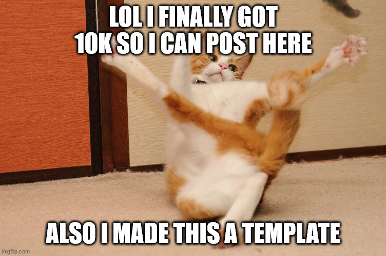 twisted cat | LOL I FINALLY GOT 10K SO I CAN POST HERE; ALSO I MADE THIS A TEMPLATE | image tagged in twisted cat | made w/ Imgflip meme maker