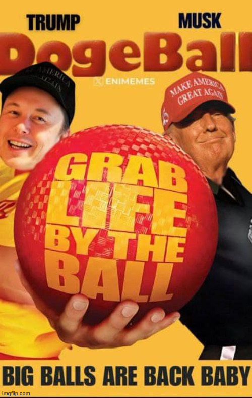 Dogeball | image tagged in big balls are back,dogeball,political,reposts | made w/ Imgflip meme maker