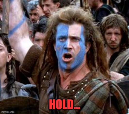 HOLD... | image tagged in braveheart hold | made w/ Imgflip meme maker