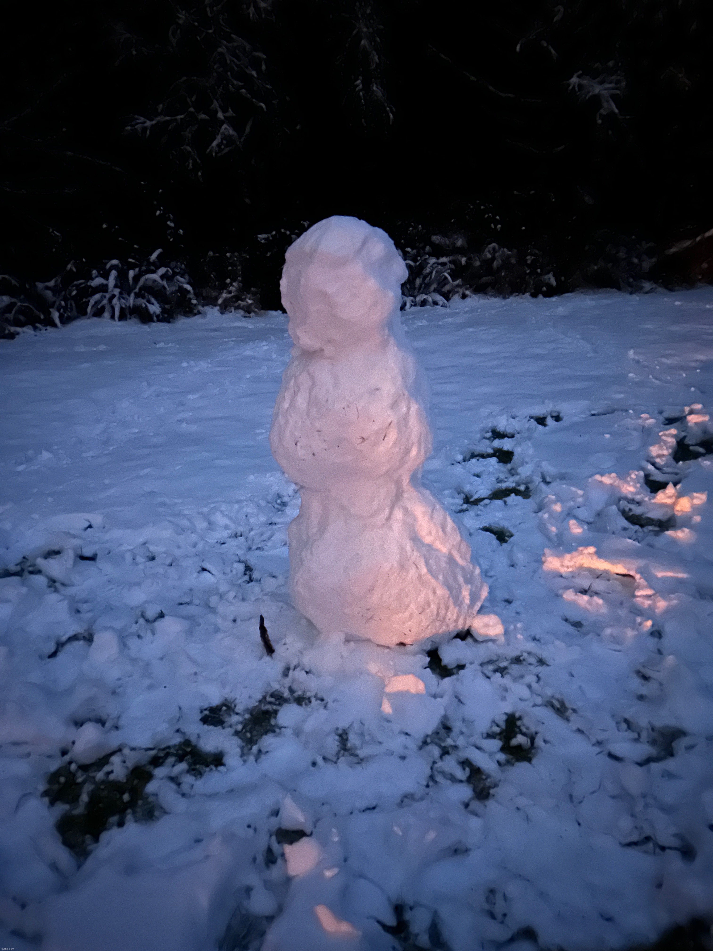 I made a snowman :P (also to stay on topic rp with any of my ocs ig) | made w/ Imgflip meme maker