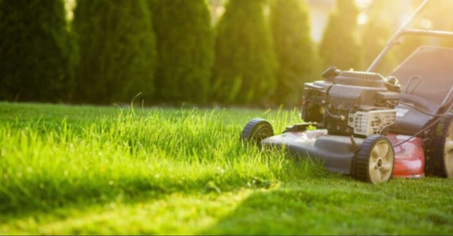 Cutting grass machine Blank Meme Template