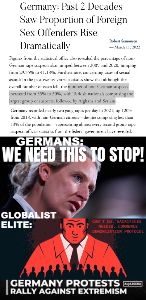 In Denmark we see action instead of demonization. But we are not in the hands of globalists - we rejected the EU partially | image tagged in germany,globalism,immigrants,immigration,crime | made w/ Imgflip meme maker