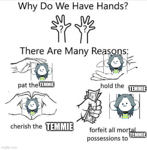 Why Do We Have Hands | TEMMIE; TEMMIE; TEMMIE; TEMMIE | image tagged in why do we have hands | made w/ Imgflip meme maker