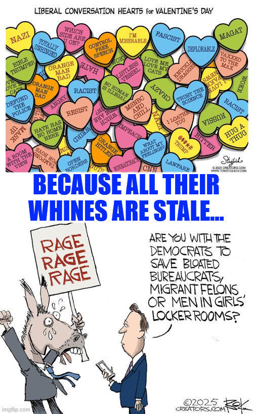 Stale whines | BECAUSE ALL THEIR WHINES ARE STALE... | image tagged in poor libs,running out of things to whine about | made w/ Imgflip meme maker