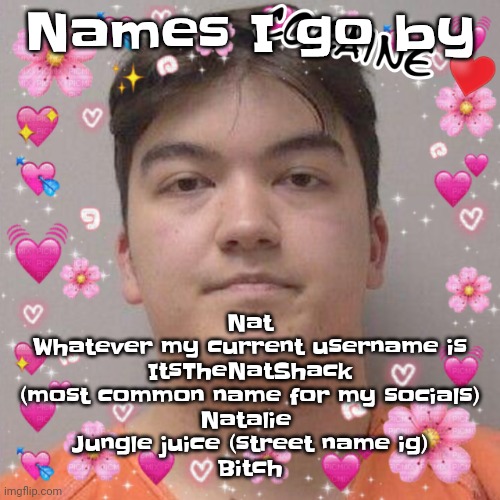 Or any variation of bro or dude | Nat
Whatever my current username is
ItsTheNatShack (most common name for my socials)
Natalie 
Jungle juice (street name ig)
Bitch; Names I go by | image tagged in larson | made w/ Imgflip meme maker