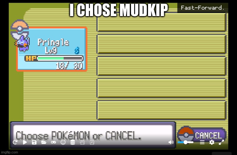 I CHOSE MUDKIP | made w/ Imgflip meme maker
