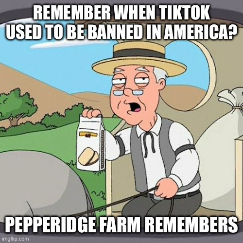 Pepperidge Farm Remembers | REMEMBER WHEN TIKTOK USED TO BE BANNED IN AMERICA? PEPPERIDGE FARM REMEMBERS | image tagged in memes,pepperidge farm remembers | made w/ Imgflip meme maker