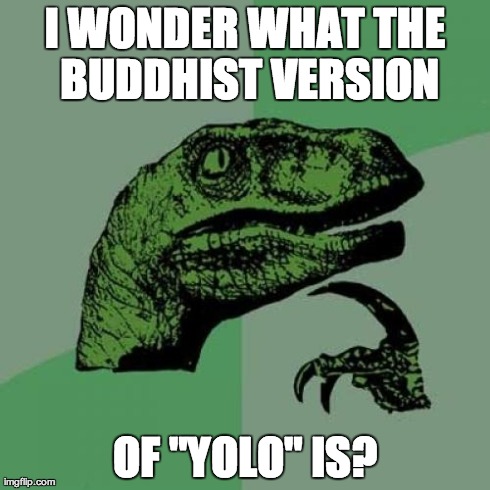 If reincarnation's true, then... | I WONDER WHAT THE BUDDHIST VERSION OF "YOLO" IS? | image tagged in memes,philosoraptor | made w/ Imgflip meme maker