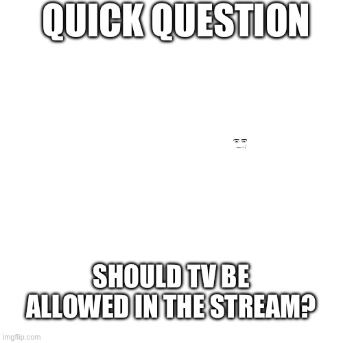 I’ve seen a lot of memes about TV on this stream | QUICK QUESTION; SHOULD TV BE ALLOWED IN THE STREAM? | image tagged in question | made w/ Imgflip meme maker