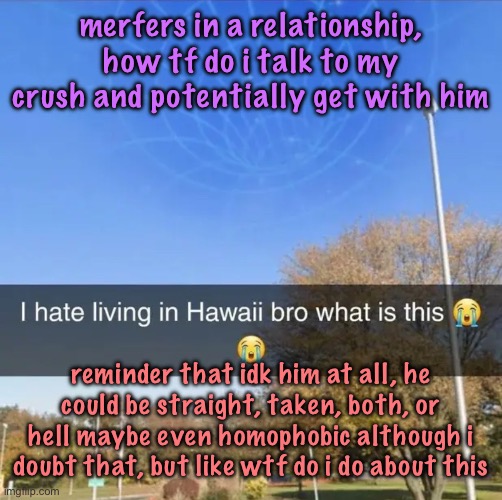 also goodbye cinnabox announcement tag | merfers in a relationship, how tf do i talk to my crush and potentially get with him; reminder that idk him at all, he could be straight, taken, both, or hell maybe even homophobic although i doubt that, but like wtf do i do about this | image tagged in i hate living in hawaii bro what is this | made w/ Imgflip meme maker