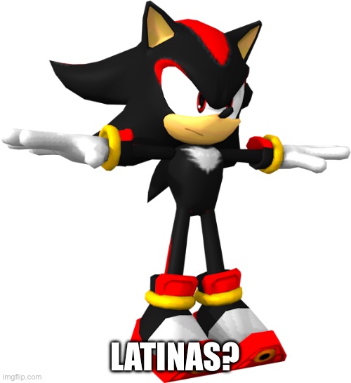 shadow the hedgehog t pose | LATINAS? | image tagged in shadow the hedgehog t pose | made w/ Imgflip meme maker