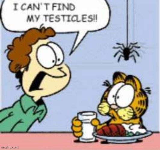 garfield revenge | image tagged in i can't find my testicles | made w/ Imgflip meme maker