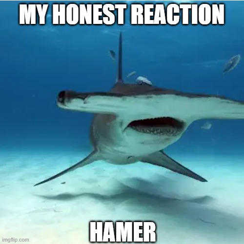 MY HONEST REACTION HAMER | made w/ Imgflip meme maker