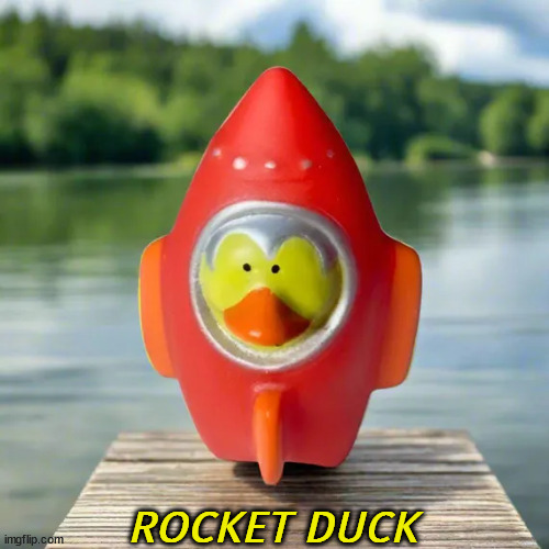 I'm not the duck they think I am at home. | ROCKET DUCK | image tagged in rocket,duck,toy,launch,rocket man | made w/ Imgflip meme maker