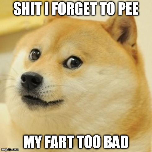 Doge Meme | SHIT I FORGET TO PEE MY FART TOO BAD | image tagged in memes,doge | made w/ Imgflip meme maker