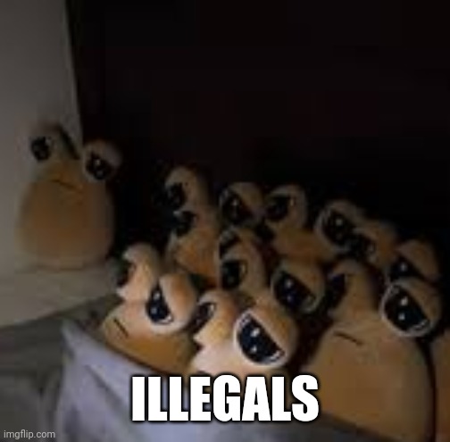 My basement | ILLEGALS | image tagged in memes | made w/ Imgflip meme maker