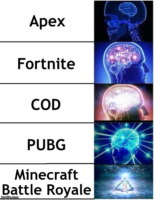 Expanding Brain 5 Panel | Apex; Fortnite; COD; PUBG; Minecraft Battle Royale | image tagged in expanding brain 5 panel | made w/ Imgflip meme maker