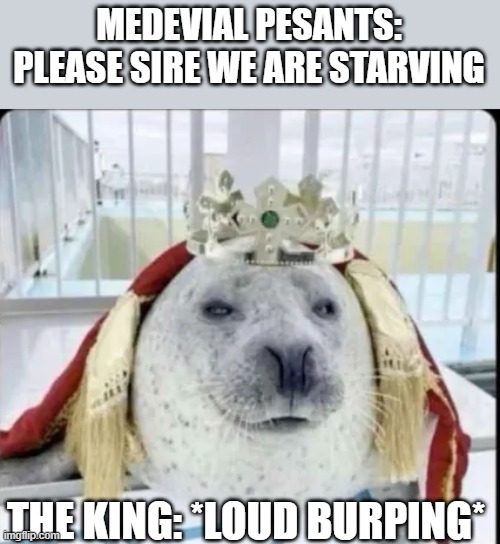 the king vs the pesant | MEDEVIAL PESANTS: PLEASE SIRE WE ARE STARVING; THE KING: *LOUD BURPING* | image tagged in seals,animal | made w/ Imgflip meme maker