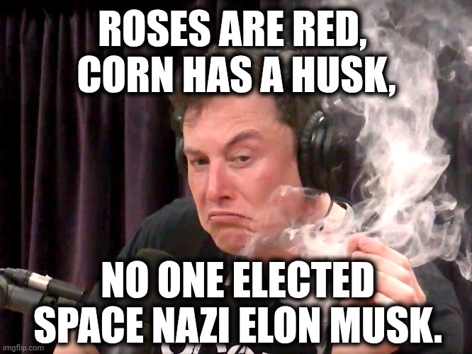 Elon Musk High af | ROSES ARE RED, 
CORN HAS A HUSK, NO ONE ELECTED
SPACE NAZI ELON MUSK. | image tagged in elon musk high af | made w/ Imgflip meme maker