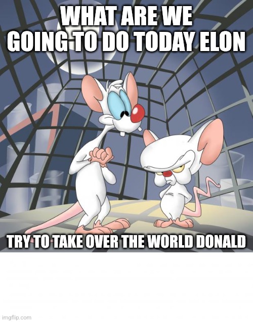 Pinky and the brain | WHAT ARE WE GOING TO DO TODAY ELON; TRY TO TAKE OVER THE WORLD DONALD | image tagged in pinky and the brain | made w/ Imgflip meme maker