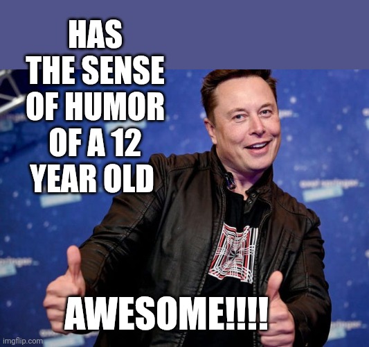 The Richest Man In The World | HAS THE SENSE OF HUMOR OF A 12 YEAR OLD; AWESOME!!!! | image tagged in elon musk nice,elk hunt | made w/ Imgflip meme maker
