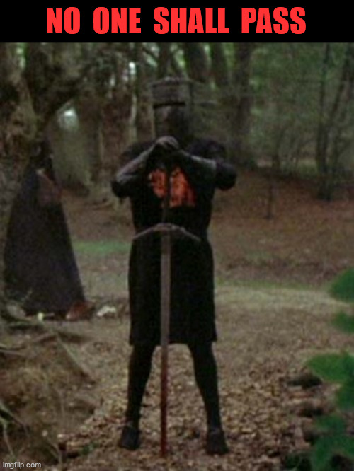 monty python black knight  | NO  ONE  SHALL  PASS | image tagged in monty python black knight | made w/ Imgflip meme maker