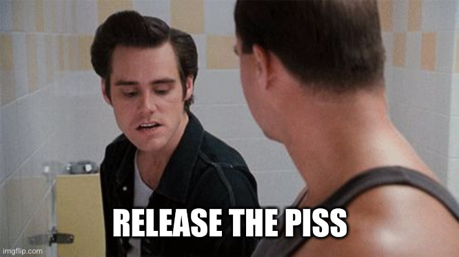 ace ventura urinal | RELEASE THE PISS | image tagged in ace ventura urinal | made w/ Imgflip meme maker