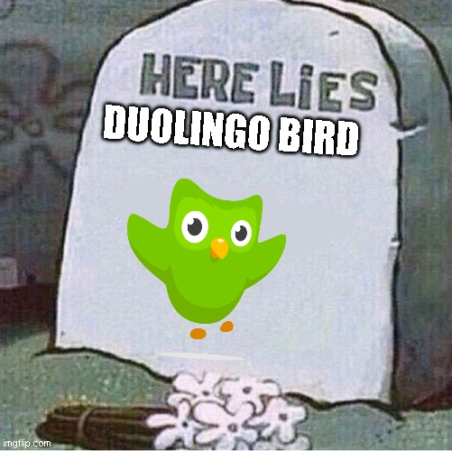 duolingo bird died (sad) | DUOLINGO BIRD | image tagged in here lies spongebob tombstone | made w/ Imgflip meme maker