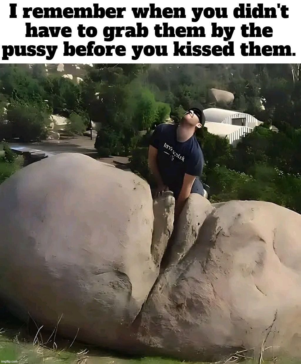 Ode to Joy | image tagged in ode to joy,grab them by the pussy,trump grabs that pussy,lemongrab,sjw triggered,stranger danger | made w/ Imgflip meme maker