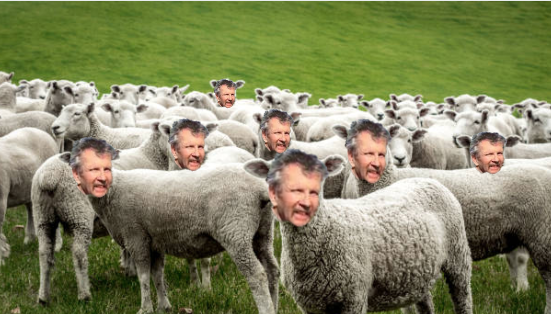 Tim Sheep Blank Meme Template