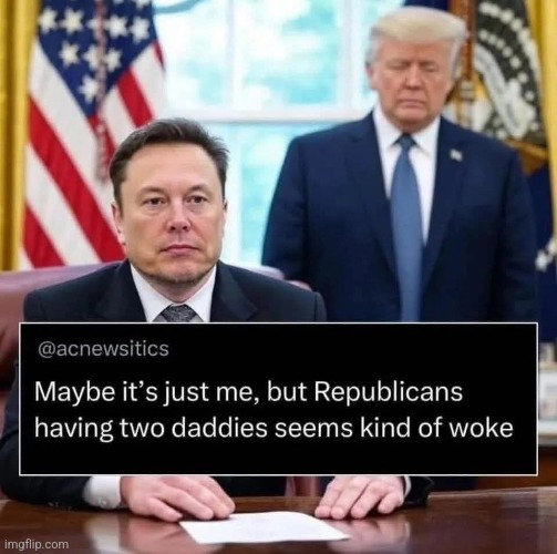 Two daddies | image tagged in elon musk,donald trump,trump,maga,nevertrump,nevertrump meme | made w/ Imgflip meme maker