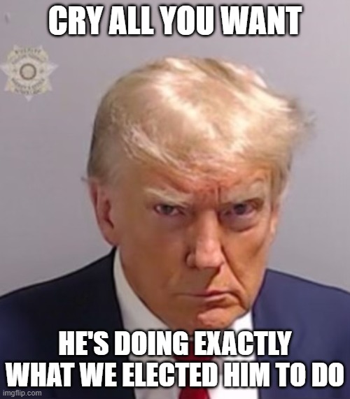 Cry All You Want | CRY ALL YOU WANT; HE'S DOING EXACTLY WHAT WE ELECTED HIM TO DO | image tagged in donald trump mugshot,trump,maga,libtard tears,crying | made w/ Imgflip meme maker