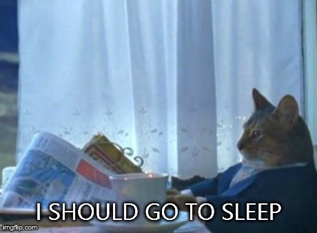 I Should Buy A Boat Cat | I SHOULD GO TO SLEEP | image tagged in memes,i should buy a boat cat,AdviceAnimals | made w/ Imgflip meme maker