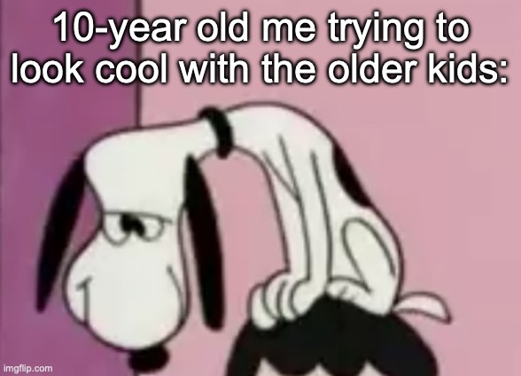 Remember when we're trying to blend with the older kids? | 10-year old me trying to look cool with the older kids: | image tagged in the snoops,funny,childhood,relatable,memes,older kids | made w/ Imgflip meme maker