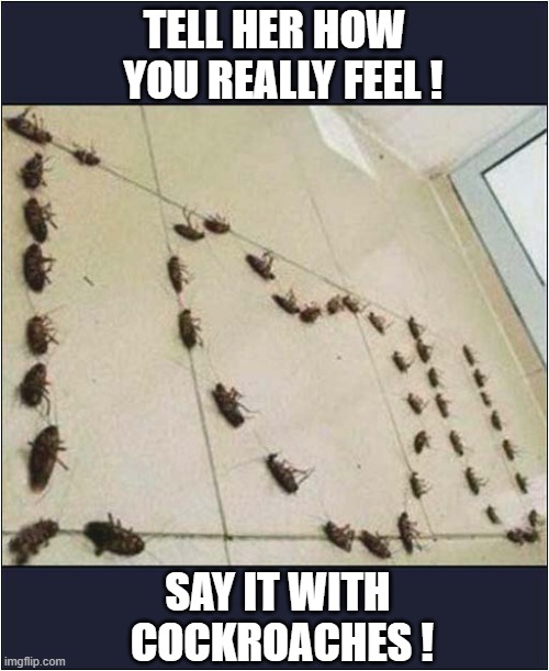 It's The Thought That Counts ! | TELL HER HOW
  YOU REALLY FEEL ! SAY IT WITH
 COCKROACHES ! | image tagged in valentines day,i love you,cockroaches,dark humour | made w/ Imgflip meme maker