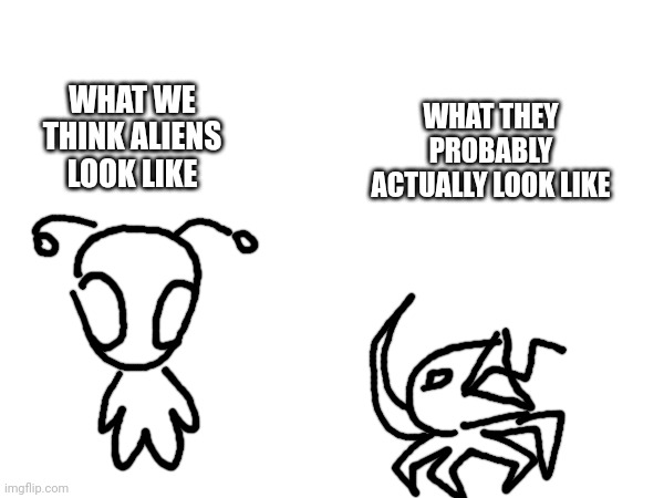 WHAT THEY PROBABLY ACTUALLY LOOK LIKE; WHAT WE THINK ALIENS LOOK LIKE | made w/ Imgflip meme maker