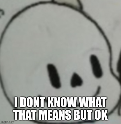 Ok then | I DONT KNOW WHAT THAT MEANS BUT OK | image tagged in ok then | made w/ Imgflip meme maker