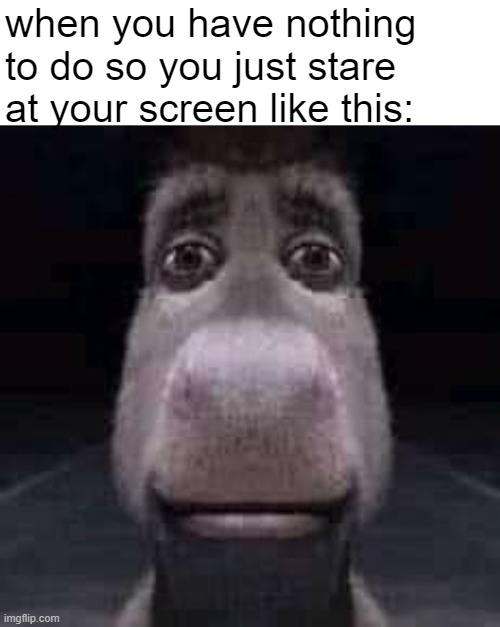 Bored meme | when you have nothing to do so you just stare at your screen like this: | image tagged in donkey staring,funny,relatable,boredom,relatable memes,fun | made w/ Imgflip meme maker