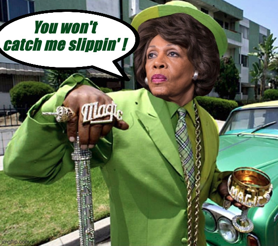 The Democrat Version Of A Stable Genius | You won't catch me slippin' ! | image tagged in maxine waters,political meme,politics,funny memes,funny | made w/ Imgflip meme maker