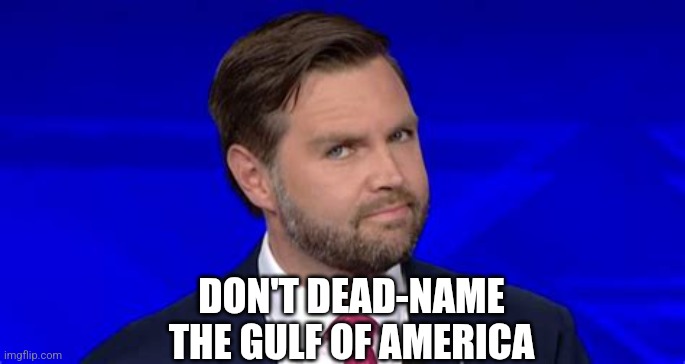 Jd Vance side eye | DON'T DEAD-NAME
THE GULF OF AMERICA | image tagged in jd vance side eye | made w/ Imgflip meme maker