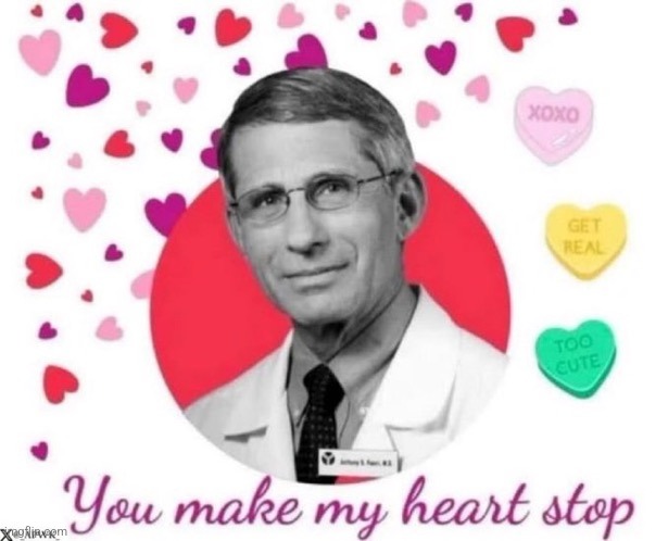 VD | image tagged in dr fauci | made w/ Imgflip meme maker