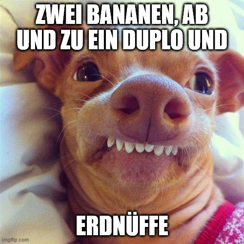 PHTEVEN | ZWEI BANANEN, AB UND ZU EIN DUPLO UND; ERDNÜFFE | image tagged in phteven | made w/ Imgflip meme maker