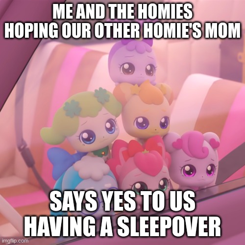 Catch Teenieping On Cartoon Network Mock-up | ME AND THE HOMIES HOPING OUR OTHER HOMIE'S MOM; SAYS YES TO US HAVING A SLEEPOVER | image tagged in catch teenieping on cartoon network mock-up | made w/ Imgflip meme maker