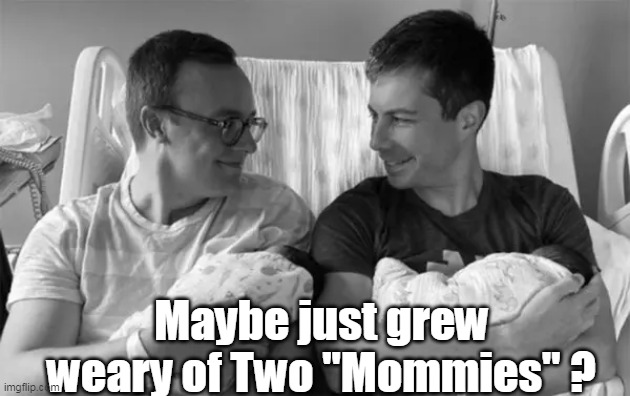 Maybe just grew weary of Two "Mommies" ? | made w/ Imgflip meme maker