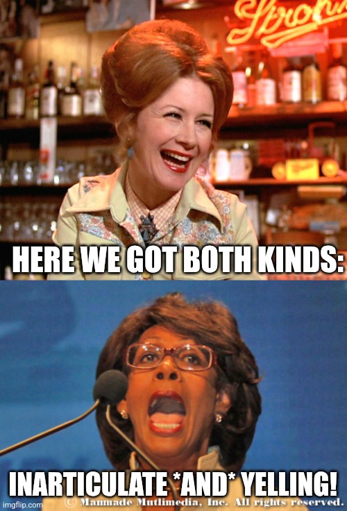 HERE WE GOT BOTH KINDS: INARTICULATE *AND* YELLING! | image tagged in we got both kinds,maxine waters | made w/ Imgflip meme maker