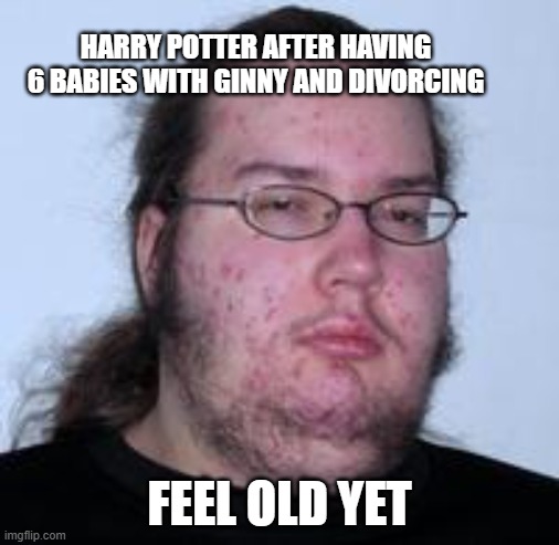 Harry Potter is 44 years old today. Let that sink in. | HARRY POTTER AFTER HAVING 6 BABIES WITH GINNY AND DIVORCING; FEEL OLD YET | image tagged in neckbeard,harry potter,hogwarts | made w/ Imgflip meme maker