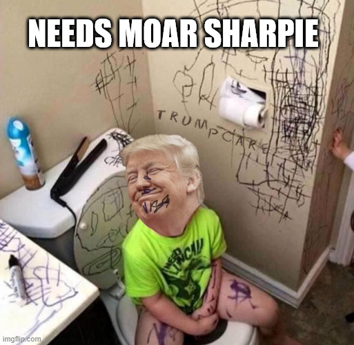 Sharpie Trump | NEEDS MOAR SHARPIE | image tagged in sharpie trump | made w/ Imgflip meme maker