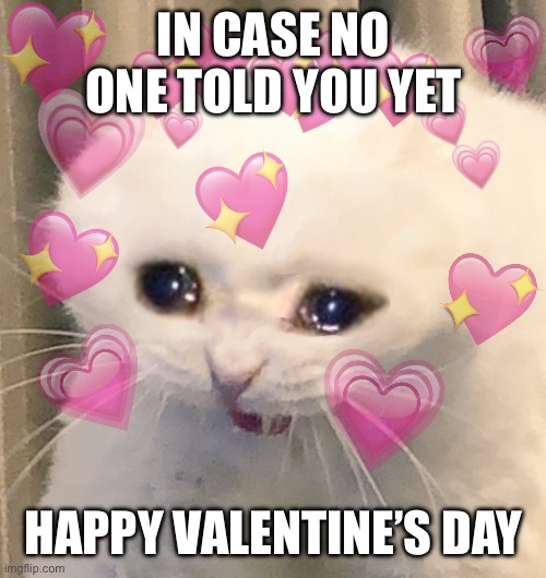 Shoutout to all my single homies, love y’all | IN CASE NO ONE TOLD YOU YET; HAPPY VALENTINE’S DAY | image tagged in loving crying cat,mems,valentine's day,if you read this tag you are cursed,stop reading the tags | made w/ Imgflip meme maker